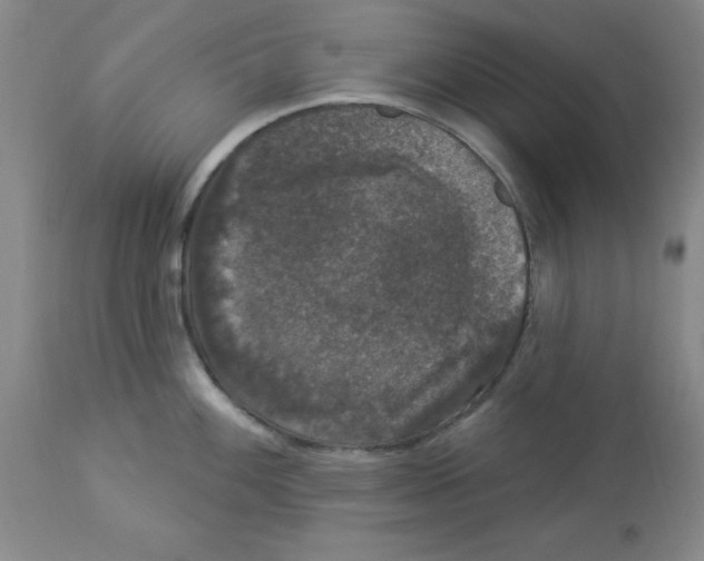 X0000112861100200909181754