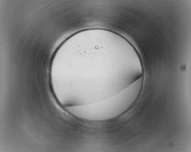 X0000112861101200909181754