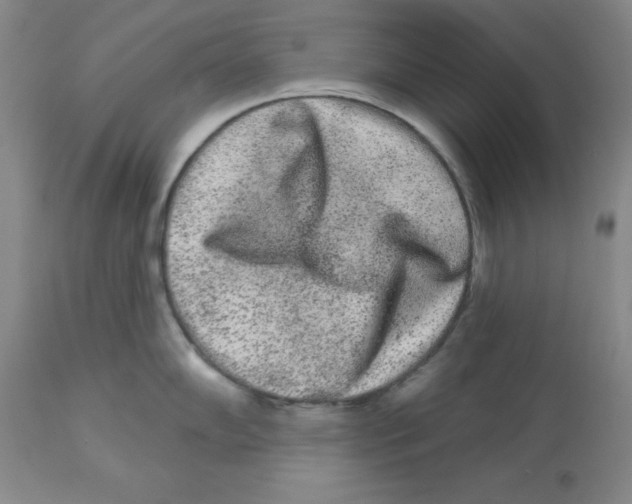 X0000112861102200909181754