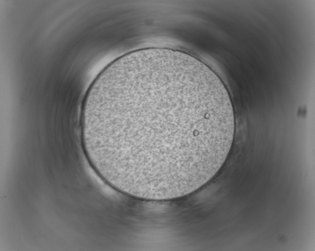 X0000112861103200909181754