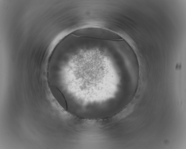 X0000112861104200909181754