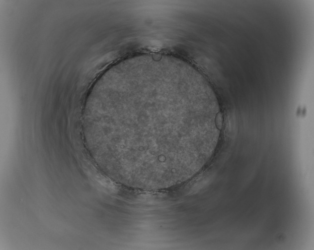 X0000112861105200909181753