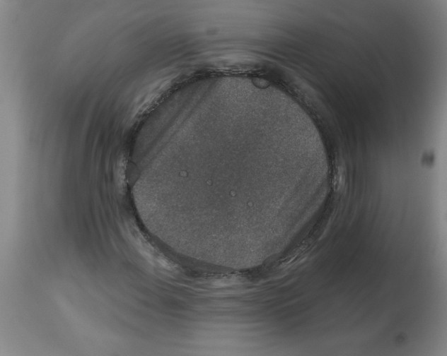 X0000112861108200909181753