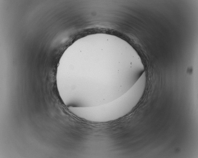 X0000112861110200909181753