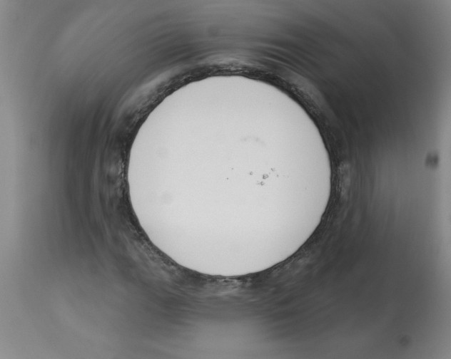 X0000112861111200909181753