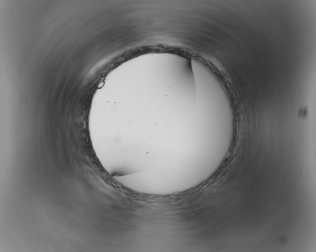 X0000112861112200909181753