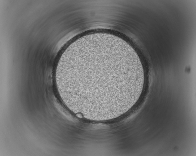 X0000112861113200909181753