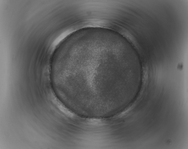 X0000112861114200909181753