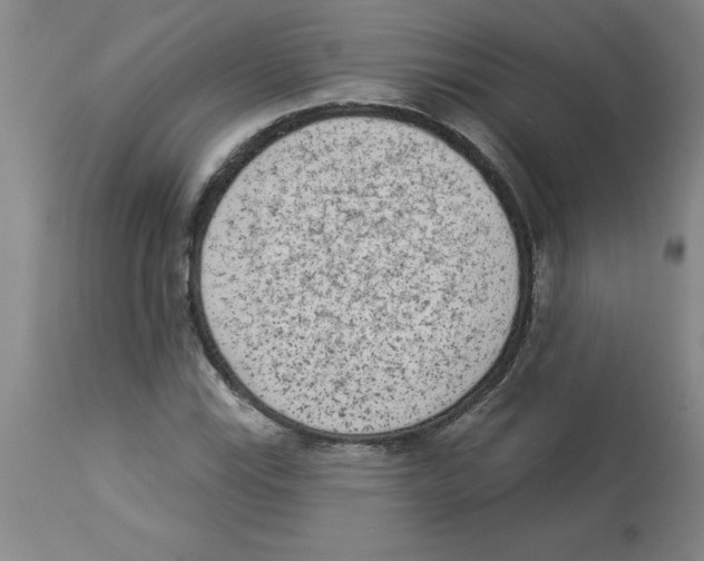 X0000112861115200909181754