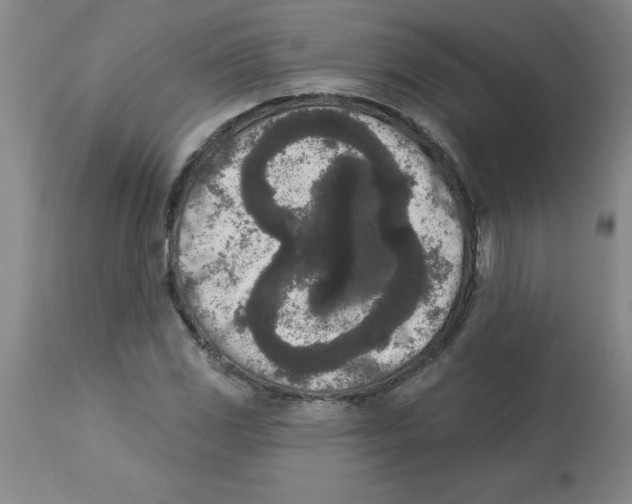 X0000112861117200909181754