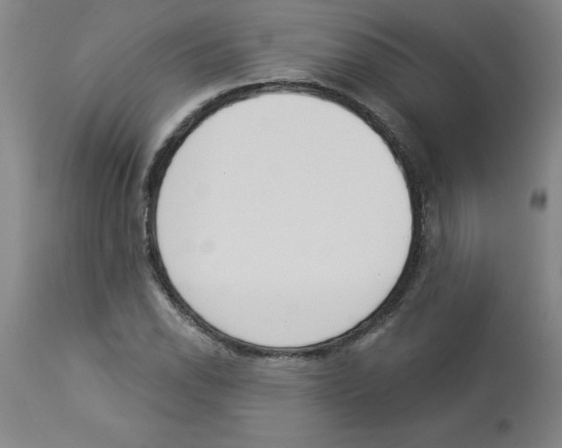 X0000112861118200909181754