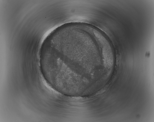 X0000112861120200909181754