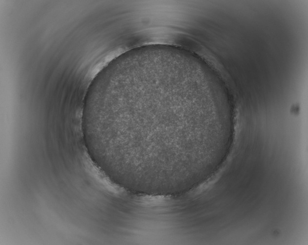 X0000112861121200909181754