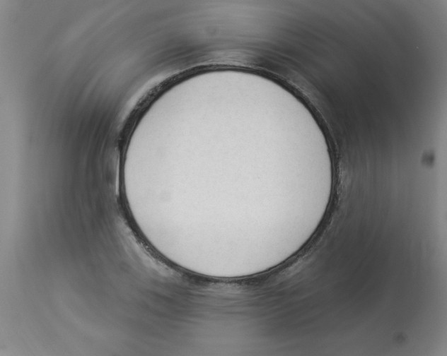 X0000112861123200909181754