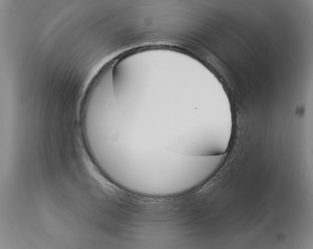 X0000112861124200909181754