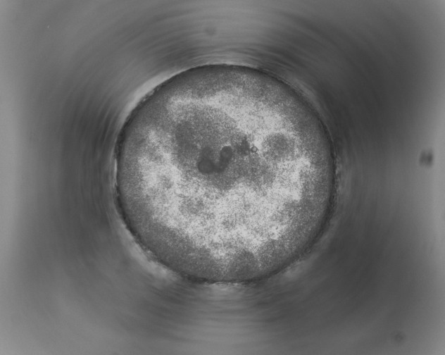 X0000112861125200909181754