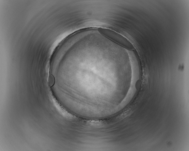 X0000112861128200909181754