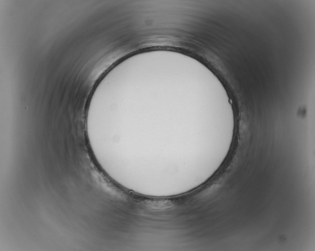 X0000112861129200909181754