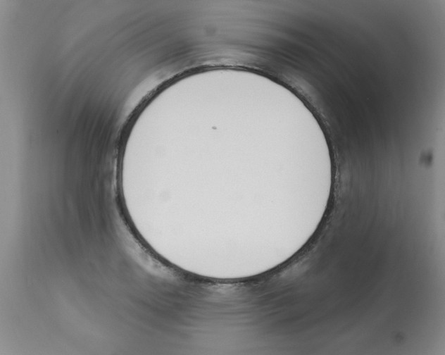 X0000112861130200909181754