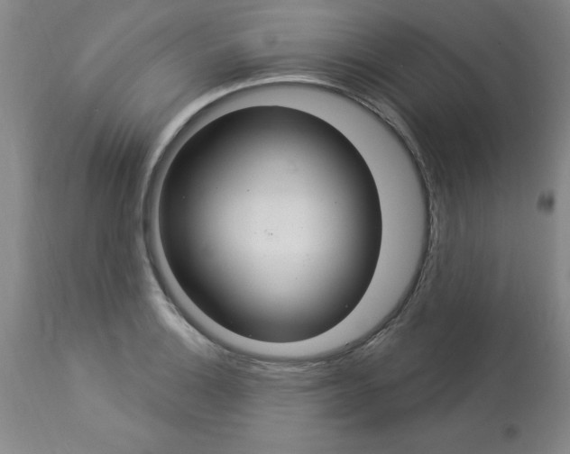 X0000112861132200909181754