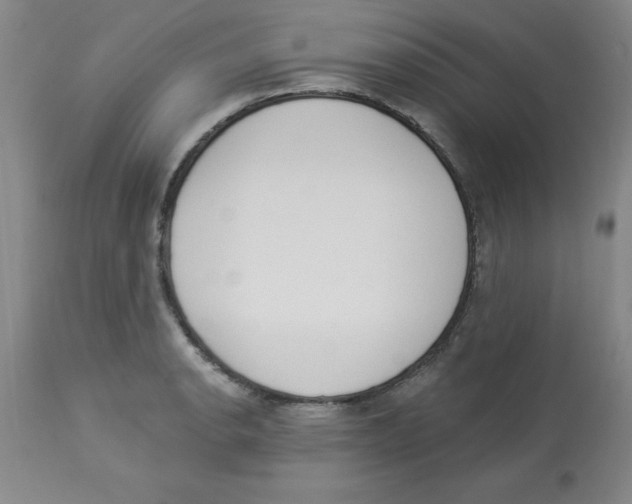 X0000112861134200909181754