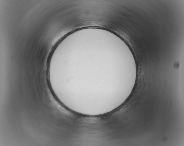 X0000112861135200909181754