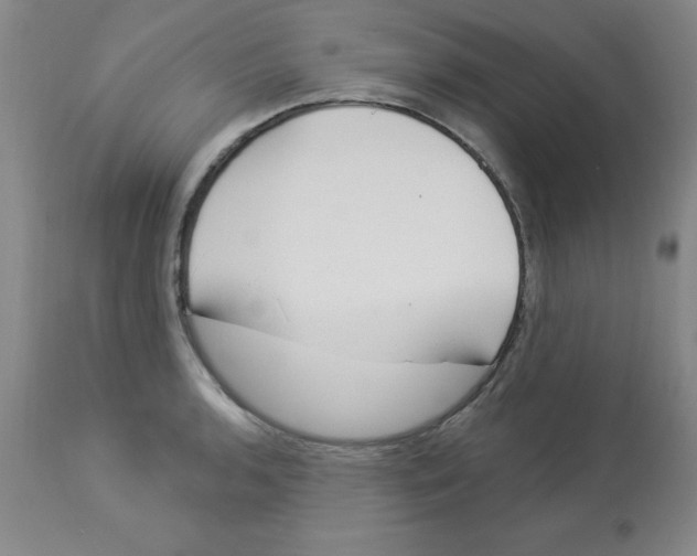 X0000112861136200909181754