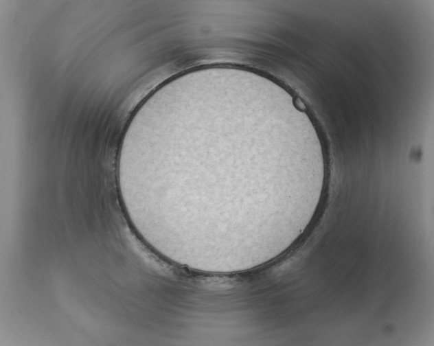 X0000112861137200909181754