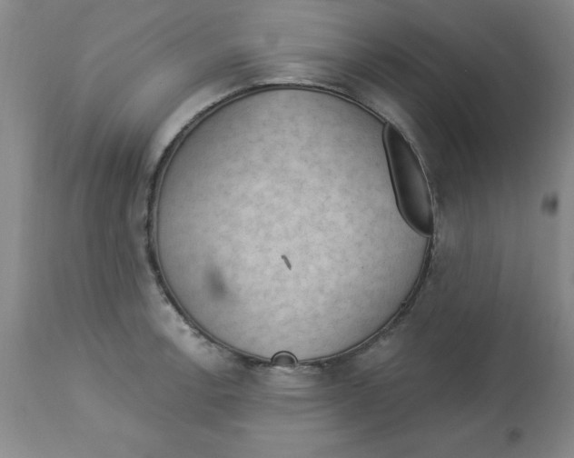 X0000112861138200909181754