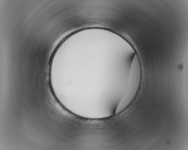 X0000112861140200909181754