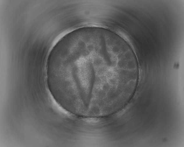 X0000112861141200909181754