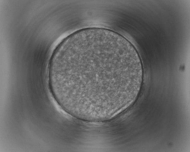 X0000112861144200909181754