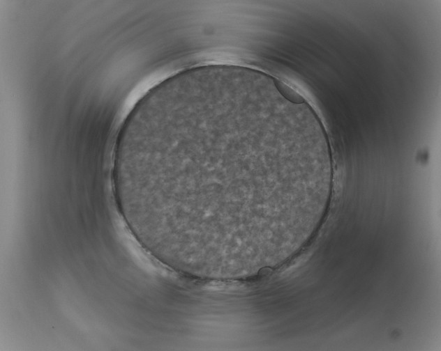 X0000112861146200909181754