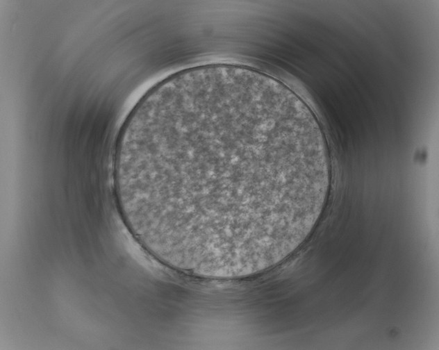 X0000112861148200909181754