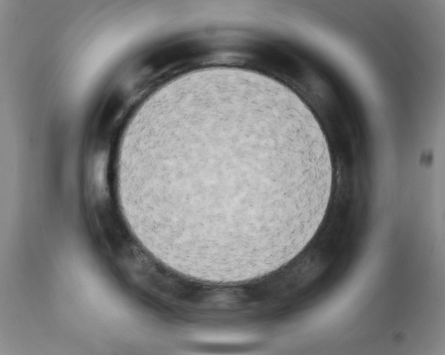 X0000112861150200909181754