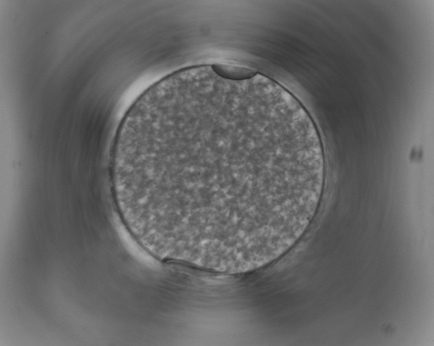 X0000112861152200909181754