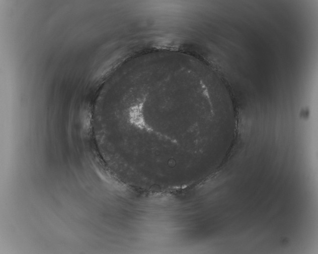 X0000112861154200909181753