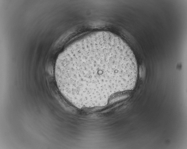 X0000112861155200909181753