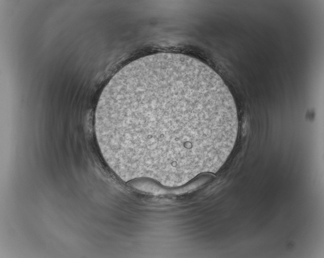 X0000112861156200909181753