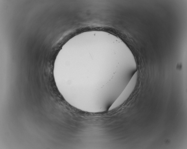 X0000112861157200909181753