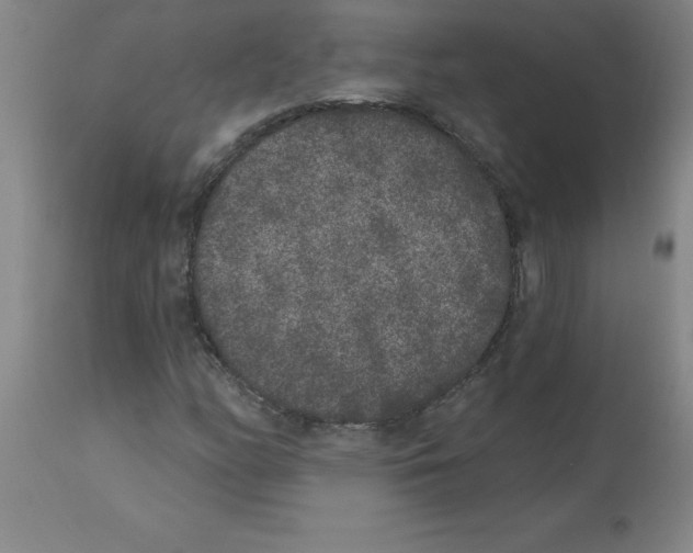 X0000112861158200909181753