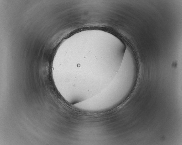 X0000112861161200909181753