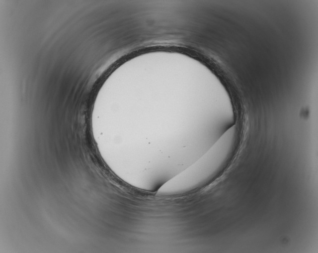 X0000112861162200909181753