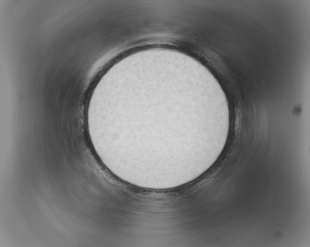 X0000112861164200909181753