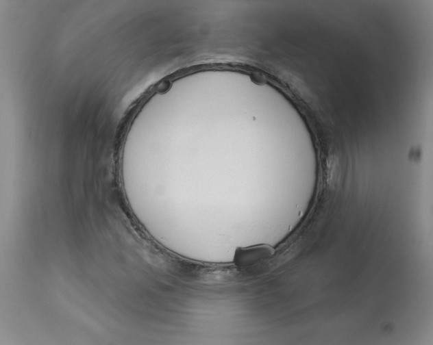 X0000112861165200909181753