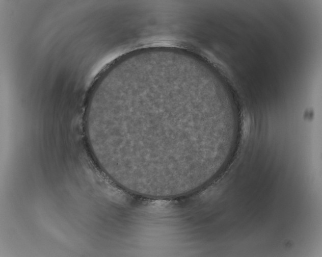 X0000112861166200909181753