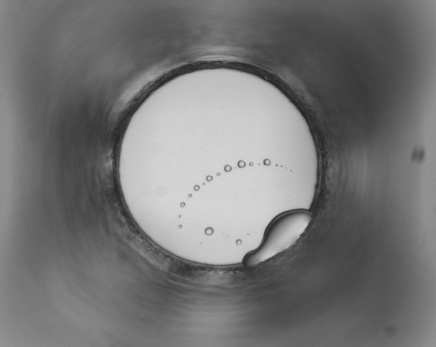 X0000112861167200909181753