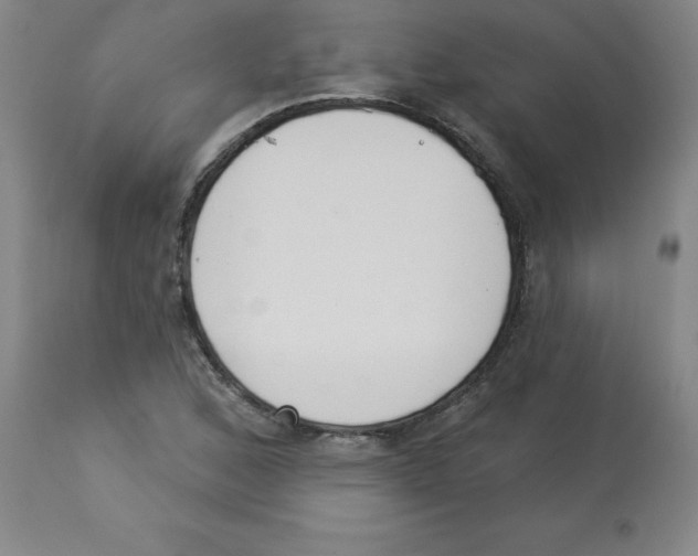 X0000112861168200909181753