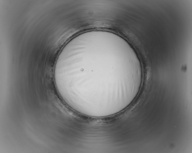 X0000112861169200909181753