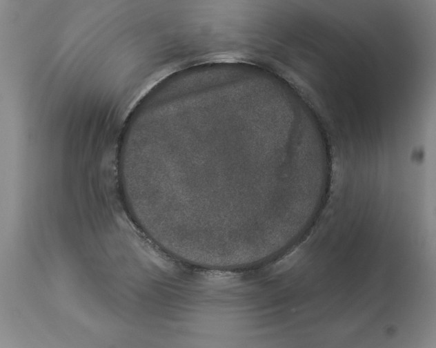 X0000112861170200909181753